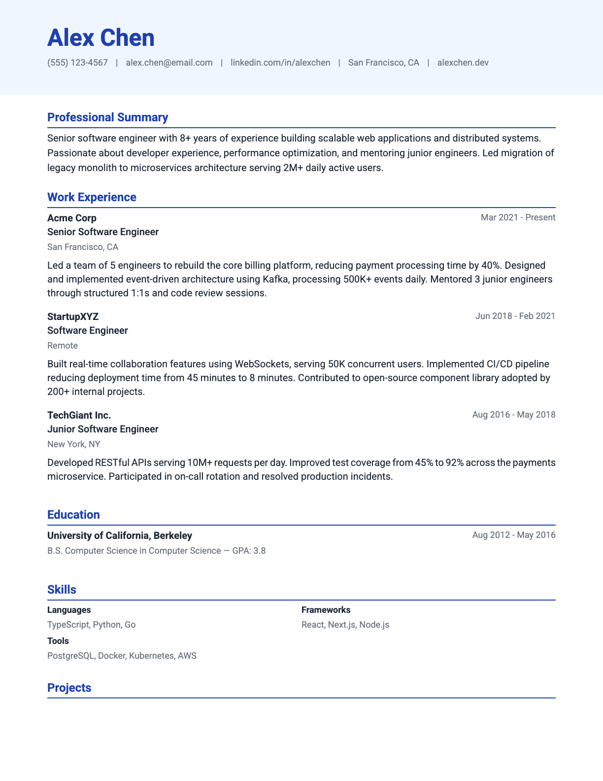 Professional resume template